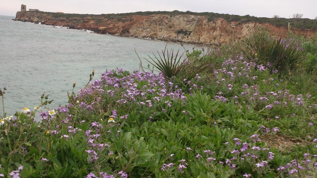 Càbras S'Apprigu B&B المظهر الخارجي الصورة